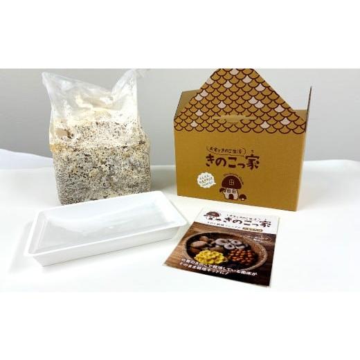 ふるさと納税 花・苗木 鳥取県 日吉津村 おうちで楽しむ たもぎたけ栽培キット きのこっ家 きのこ たもぎたけ タモギタケ 栽培 キット 菌床 1個 鳥取県 日吉津…