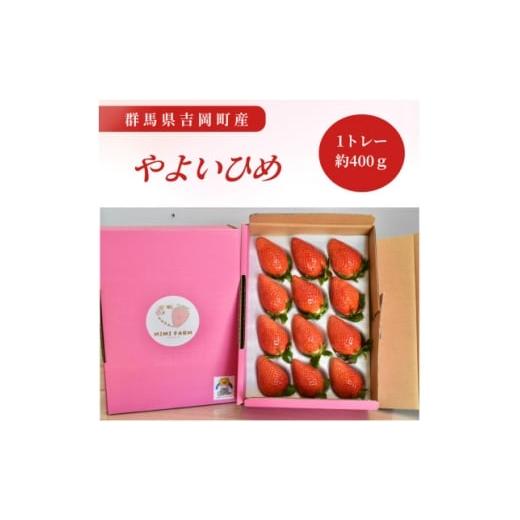 ふるさと納税 いちご 群馬県 吉岡町 群馬県産いちご やよいひめ 約400g 1710534