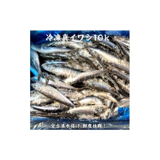 ふるさと納税 旬の鮮魚等 岩手県 宮古市 冷凍真いわし 10kg 1711015