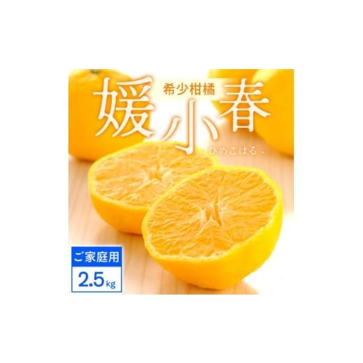 ふるさと納税 みかん・柑橘類 愛媛県 八幡浜市 ご家庭用 媛小春 2.5kg 愛媛県 八幡浜市 西宇和地区 希少な幻の柑橘 C25-323 1714072
