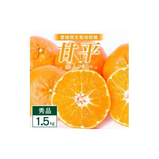 ふるさと納税 みかん・柑橘類 愛媛県 八幡浜市 甘平 1.5kg 愛媛県 八幡浜市 西宇和地区 扁平で濃い味 D25-330 _甘平 1.5kg 愛媛県 八幡浜市 西宇和地区 扁平で…