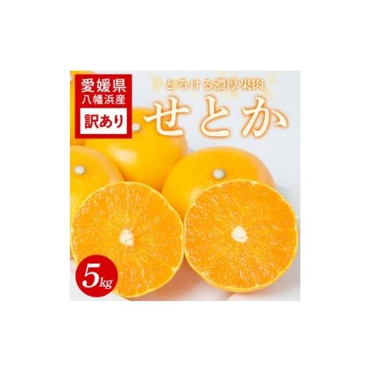 ふるさと納税 みかん・柑橘類 愛媛県 八幡浜市 訳あり とろける濃厚柑橘 せとか5kg 愛媛県八幡浜産 C25-336 1715050