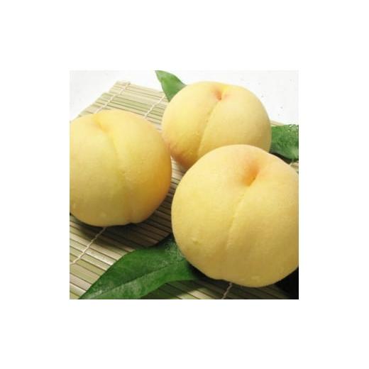 ふるさと納税 もも 岡山県 津山市 岡山県産 清水白桃3玉 冷蔵 2026年発送 1709328