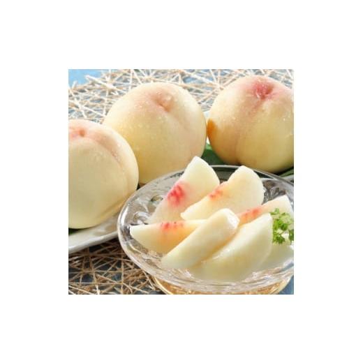 ふるさと納税 もも 岡山県 津山市 岡山県産 岡山白桃3玉 冷蔵 2026年発送 1709330