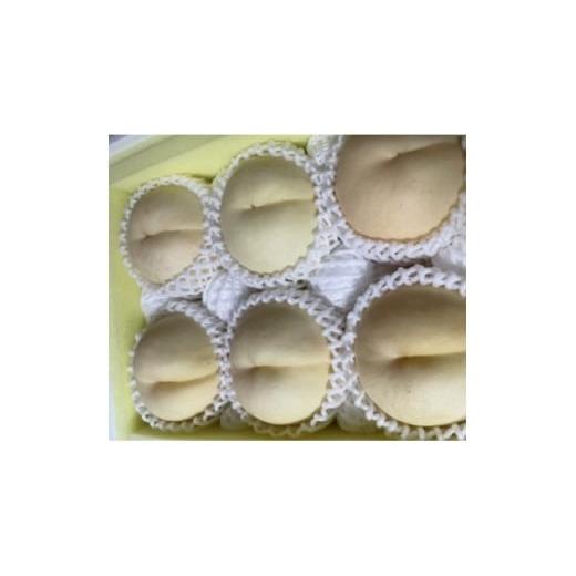 ふるさと納税 もも 岡山県 津山市 先行予約2026年9月上旬頃より発送予定 しっかりした果肉と果汁たっぷり岡山の白桃(1.5kg箱) 1713731