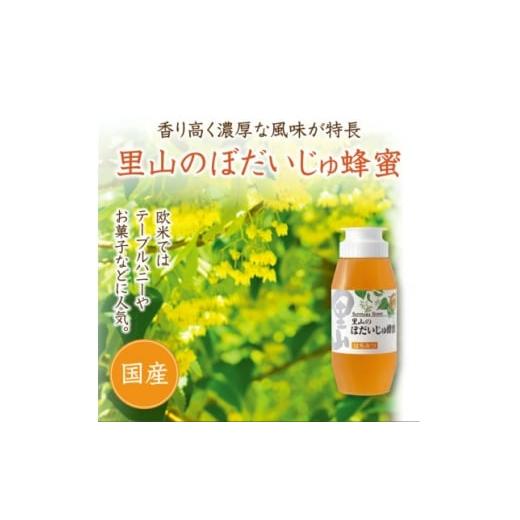 ふるさと納税 加工品等 はちみつ 岡山県 津山市 里山のぼだいじゅ蜂蜜(国産)300g (3057) 1702895