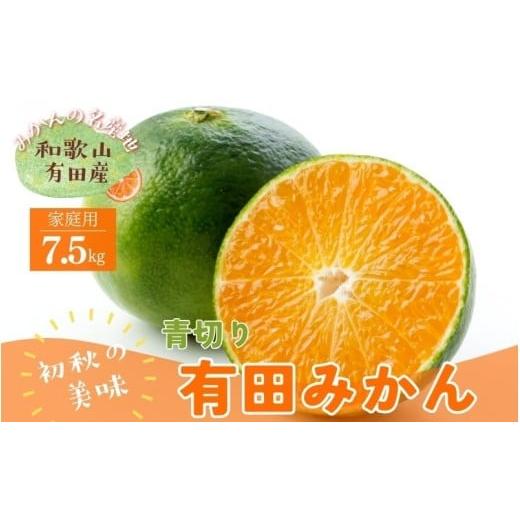 ふるさと納税 果物類 みかん 和歌山県 古座川町 先行予約 有田育ちのご家庭用青切り有田みかん 約7.5kg+200g(傷み補償分) 2026年9月中旬〜10月上旬頃に順次…