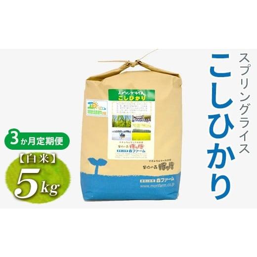 ふるさと納税 米 コシヒカリ 茨城県 古河市 定期便3か月 令和7年産 3か月毎月届く スプリングライス こしひかり (白米) 5kg | 定期便 こめ 米 コメ 白米 白飯…