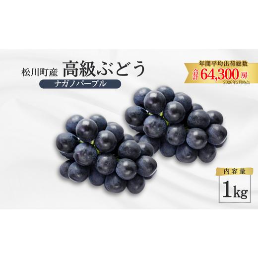 ふるさと納税 ぶどう 長野県 松川町 TK34-26A ぶどう ナガノパープル 約1kg /2026年9月上旬〜中旬頃 配送予定 // 贈答 長野県 南信州 ぶどう 葡萄 ナガノ …