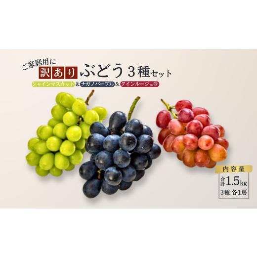 ふるさと納税 果物類 ぶどう 長野県 松川町 TK32-26A ぶどう3種セット 家庭用 (ナガノパープル/シャインマスカット/クイーンルージュ?) 約1.5kg / 2026年…
