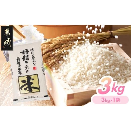 ふるさと納税 米 ブレンド 宮崎県 都城市 都城産米と国産米ブレンド 3kg_LF-33-001-3kg_(都城市) お米 国産ブレンド米 3kg 精米