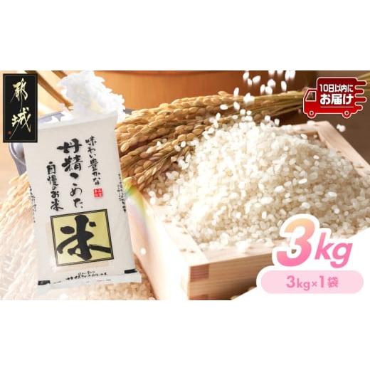 ふるさと納税 米 ブレンド 宮崎県 都城市 都城産米と国産米ブレンド 3kg みやこんじょ特急便 _LF-33-001-3kg-Q_(都城市) お米 国産ブレンド米 3kg 精米