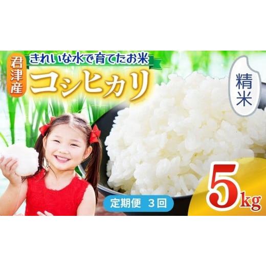 ふるさと納税 米 コシヒカリ 千葉県 君津市 定期便 3回 精米 令和7年産 コシヒカリ 5kg きれいな水で育てたお米 | 保坂農場 白米 ご飯 おにぎり 名水 おいし…