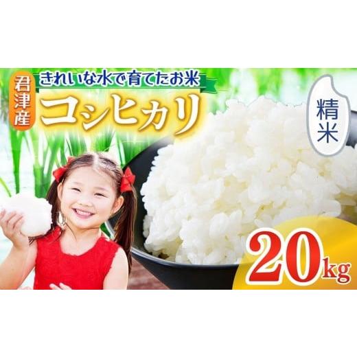 ふるさと納税 米 コシヒカリ 千葉県 君津市 精米 令和7年産 コシヒカリ 20kg 精米 きれいな水で育てたお米 2週間以内に発送 | 保坂農場 名水 おいしい水 ちば…