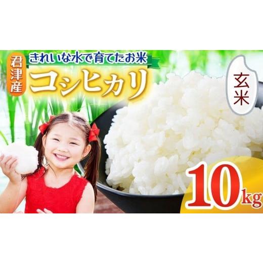 ふるさと納税 米 コシヒカリ 千葉県 君津市 玄米 令和7年産 コシヒカリ10kg 精米 きれいな水で育てたお米 2週間以内に発送 | 保坂農場 名水 おいしい水 ちばエ…