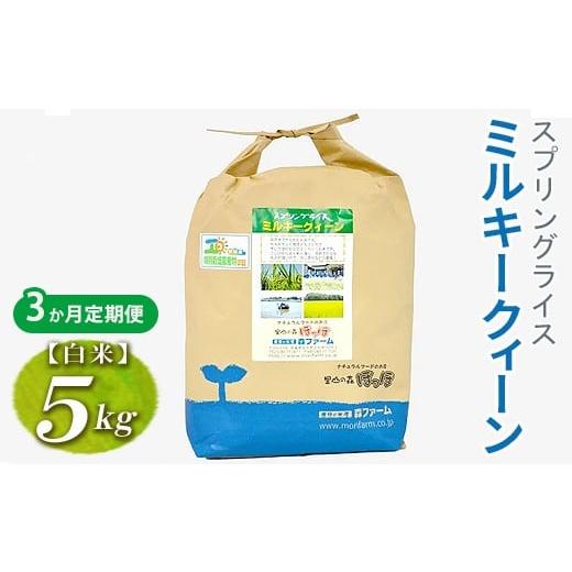 ふるさと納税 米 ミルキークイーン 茨城県 古河市 定期便3か月 令和7年産 3か月毎月届く スプリングライス ミルキークィーン (白米) 5kg | 定期便 こめ 米 コ…