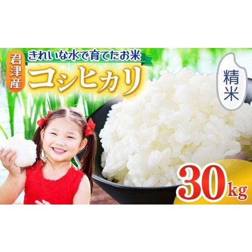 ふるさと納税 米 コシヒカリ 千葉県 君津市 精米 令和7年産 30kg 