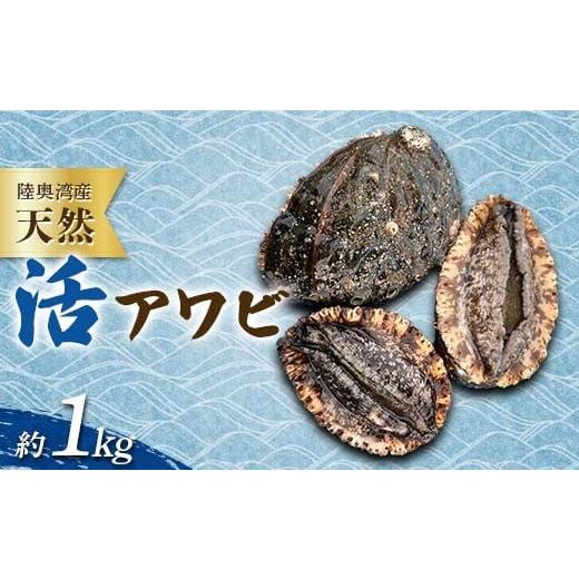 ふるさと納税 魚貝類 アワビ 青森県 平内町 陸奥湾産 天然 活アワビ 約1kg 飛佳丸 殻付き あわび 鮑 とれたて 新鮮 魚介 海鮮 刺身 刺し身 漁師直送 青森県 平…