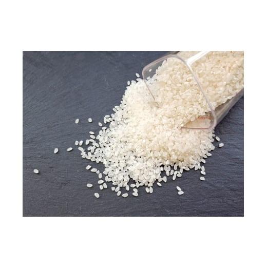 ふるさと納税 米 コシヒカリ 長野県 伊那市 伊那市産 こしひかり 5kg| 米 コシヒカリ こしひかり 白米 ご飯 お米 伊那 伊那産 長野県 ふるさと納税 014-56 こ…