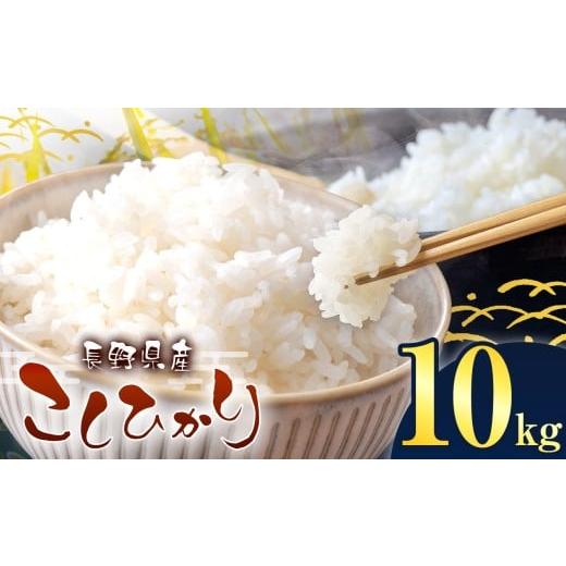 ふるさと納税 米 コシヒカリ 長野県 伊那市 伊那市産 こしひかり 10kg| 米 コシヒカリ こしひかり 白米 ご飯 お米 伊那 伊那産 長野県 ふるさと納税 026-14 …