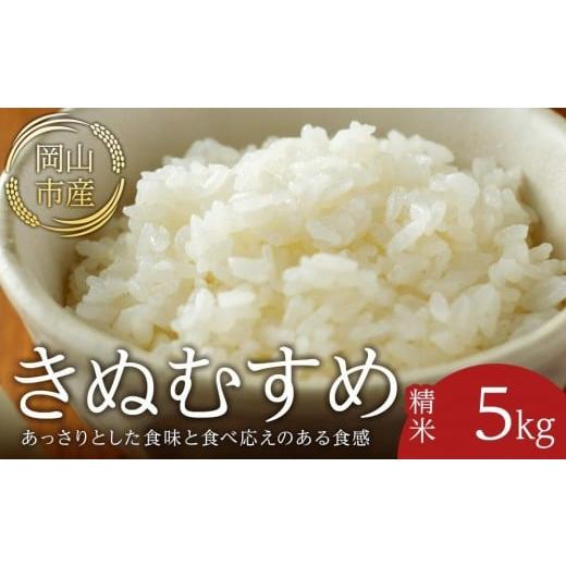 ふるさと納税 米 きぬむすめ 岡山県 岡山市 令和8年産 米 きぬむすめ 岡山市産 精米 ( 5kg × 1袋 )