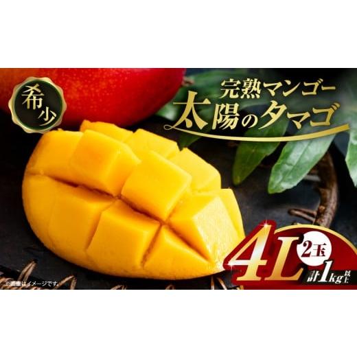 ふるさと納税 マンゴー 宮崎県 日南市 完熟マンゴー 太陽のタマゴ 4L × 2玉 期間限定 数量限定 宮崎 マンゴー フルーツ 果物 くだもの 国産 食品 ブランドマ…