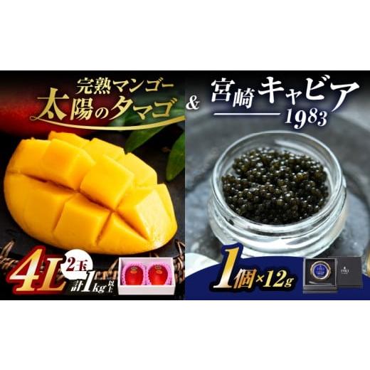 ふるさと納税 マンゴー 宮崎県 日南市 完熟マンゴー 太陽のタマゴ (4L×2玉) & 宮崎キャビア1983 1個 期間限定 数量限定 宮崎 マンゴー フルーツ 果物 くだも…