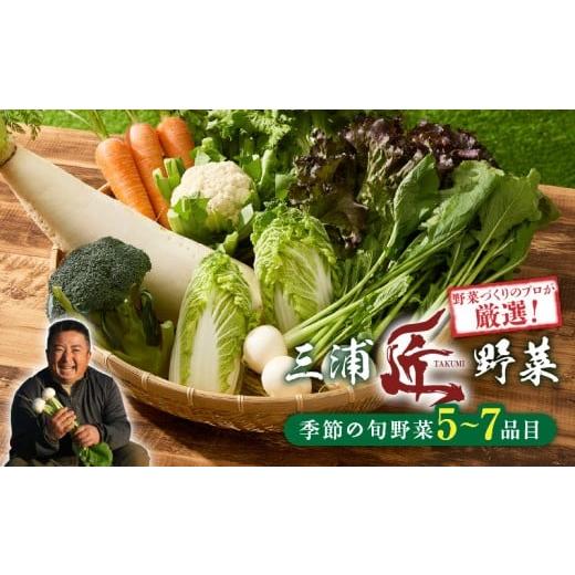 ふるさと納税 セット・詰合せ 神奈川県 三浦市 三浦の匠野菜 M127-001の画像