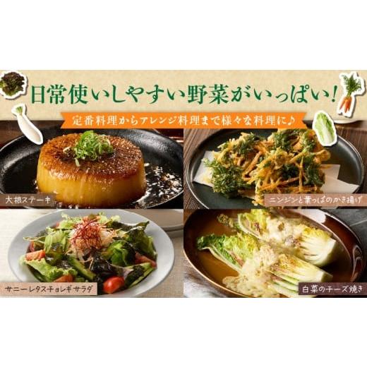 ふるさと納税 セット・詰合せ 神奈川県 三浦市 三浦の匠野菜 M127-001の画像
