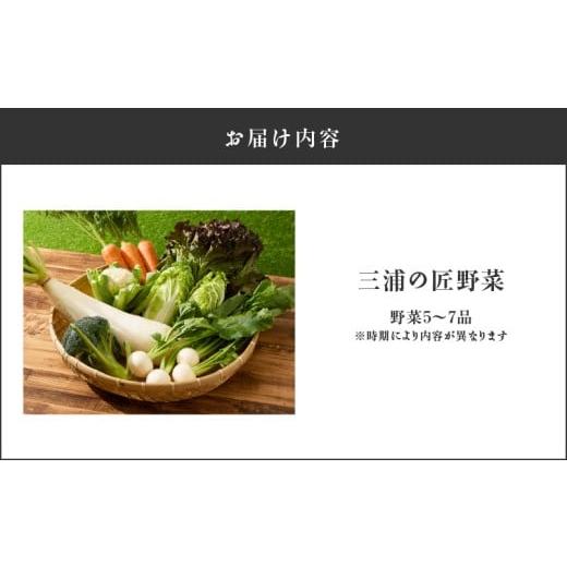 ふるさと納税 セット・詰合せ 神奈川県 三浦市 三浦の匠野菜 M127-001の画像