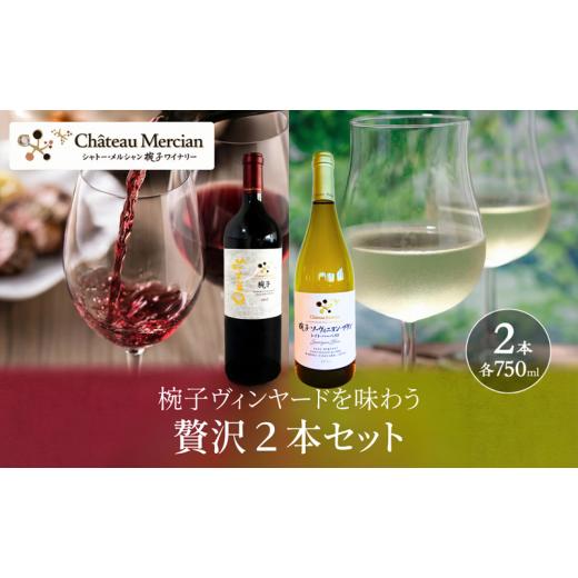 ふるさと納税 ワイン セット 長野県 上田市 椀子ヴィンヤードを味わう贅沢赤白セット ワイン 赤ワイン 白ワイン お酒 酒 アルコール 長野 長野県 上田市 No.5…