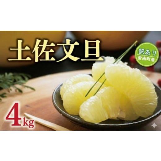 ふるさと納税 みかん・柑橘類 愛媛県 愛南町 数量限定 訳あり 土佐 文旦 4kg ( サイズミックス ) 7000円 わけあり ぶんたん みかん mikan 蜜柑 ミカン 土佐…