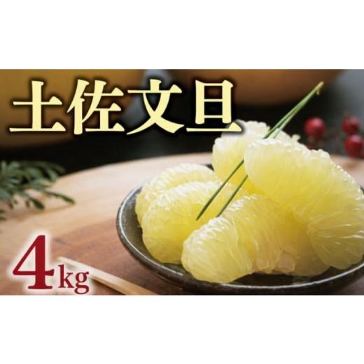 ふるさと納税 みかん・柑橘類 愛媛県 愛南町 数量限定 土佐 文旦 4kg ( 3Lサイズ ) 9000円 ぶんたん みかん mikan 蜜柑 ミカン 土佐文旦 家庭用 産地直送 国…