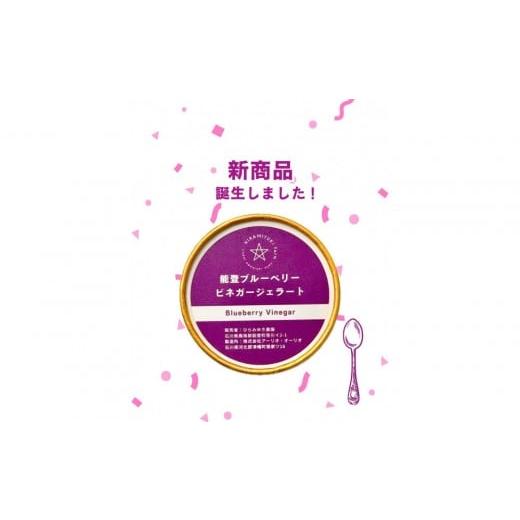 ふるさと納税 果物類 石川県 能登町 復興支援 フローズンブルーベリー&ビネガージェラートセット