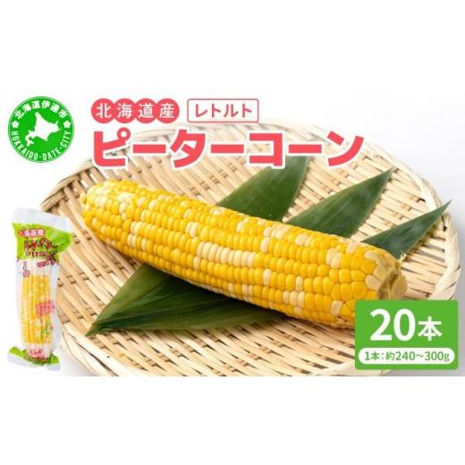 ふるさと納税 とうもろこし 北海道 伊達市 先行予約 レトルトピーターコーン 20本セット crd-007 20本