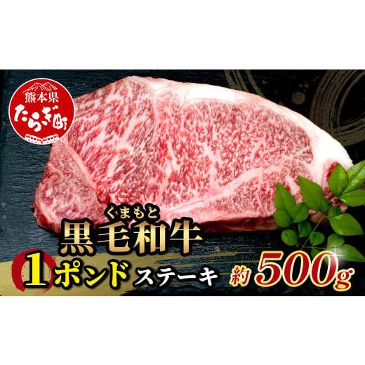 ふるさと納税 牛肉 ステーキ 熊本県 多良木町 6月発送 くまもと黒毛和牛 1ポンド ステーキ 約500g[ 黒毛 和牛 1 pound ステーキ 500g ブランド牛 上質 常備 …