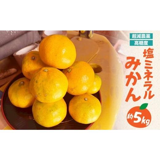 ふるさと納税 果物類 みかん 福岡県 八女市 超減農薬・高糖度 塩ミネラルみかん 約5kg 配送不可:北海道・沖縄・離島 みかん ミカン 蜜柑 フルーツ 美味しい …