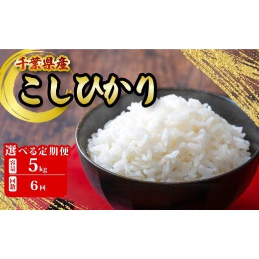 ふるさと納税 米 コシヒカリ 千葉県 銚子市 千葉県産 こしひかり 5kg 6ヶ月 定期便 米 こめ ご飯 おこめ 千葉県産 ライス ブランド米 精米 白米 風味 お米 美…