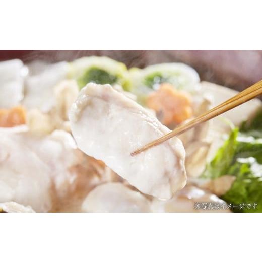 ふるさと納税 フグ 大阪府 阪南市 国産 トラフグ 約600g( トラフグ鍋用にカット済み )「トラフグ鍋( てっちり )・ 海鮮鍋 ・ 寄せ鍋 にオススメ」フグ と…