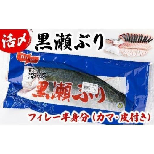 ふるさと納税 旬の鮮魚等 宮崎県 串間市 KRBF15 活じめ 黒瀬ぶりの生鮮ブリフィレー 1.5kg前後 (2026年4月発送) 2026年4月発送
