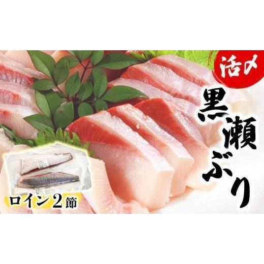 ふるさと納税 旬の鮮魚等 宮崎県 串間市 KU281 2026年4月発送分 活じめ 黒瀬ぶりの生鮮ブリロイン2節(1.0kg前後)_K001-011 2026年4月発送(1.0kg前後)