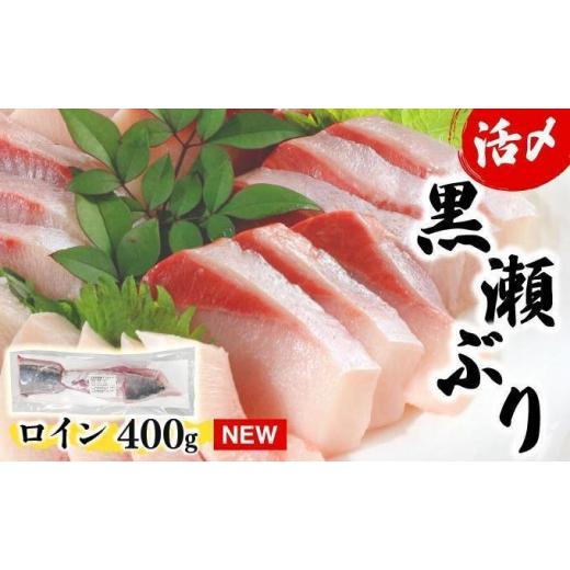 ふるさと納税 旬の鮮魚等 宮崎県 串間市 KU281-1 2026年4月発送分 活じめ 黒瀬ぶりの生鮮ブリロイン2節〜3節(400g前後)_K001-007 2026年4月発送(400g前後)
