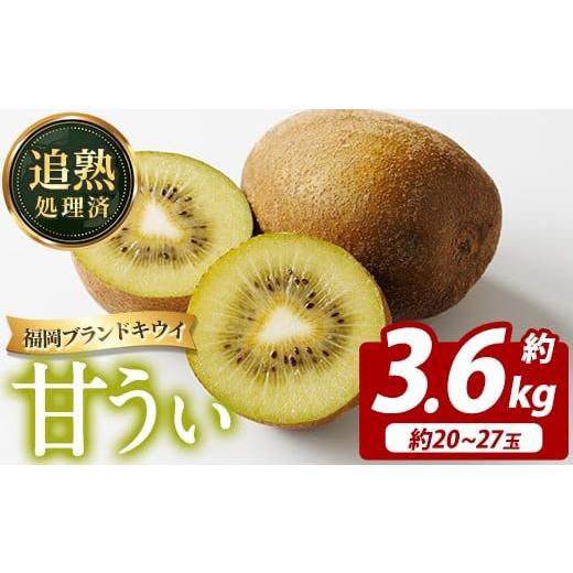 ふるさと納税 果物類 福岡県 芦屋町 先行予約受付中 2026年11月上旬〜11月下旬に順次発送予定 福岡県ブランドキウイ 甘うぃ (約計3.6kg・20〜27玉) キウイ キ…