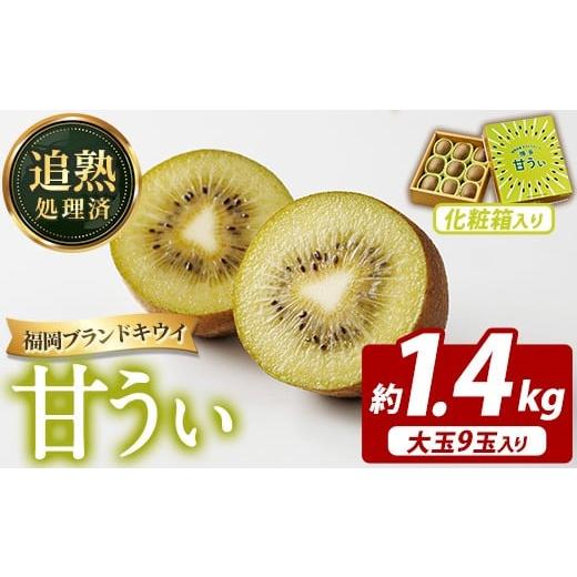 ふるさと納税 果物類 福岡県 芦屋町 先行予約受付中 2026年11月上旬〜11月下旬に順次発送予定 化粧箱入り 福岡県ブランドキウイ 甘うぃ (約計1.4kg・大玉9玉)…