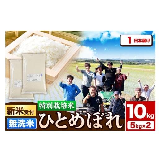 ふるさと納税 米 ひとめぼれ 秋田県 由利本荘市 [新米予約]令和8年産 無洗米 特別栽培米 ひとめぼれ10kg(5kg×2袋) 秋田県産 収穫次第2026年10月頃出荷予…