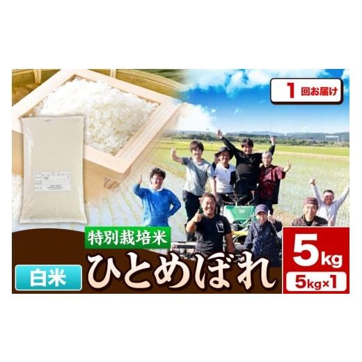 ふるさと納税 米 ひとめぼれ 秋田県 由利本荘市 令和7年産 白米 特別栽培米 ひとめぼれ 5kg 秋田県産 ひとめぼれ 米 お米 白米 精米 特別栽培米 ブランド米 食…