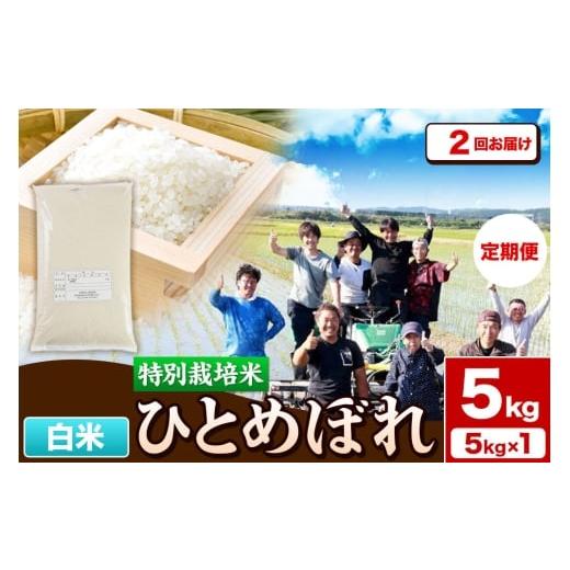ふるさと納税 米 ひとめぼれ 秋田県 由利本荘市 [定期便2ヶ月]令和7年産 白米 特別栽培米 ひとめぼれ 5kg 秋田県産 ひとめぼれ 米 お米 白米 精米 特別栽培…