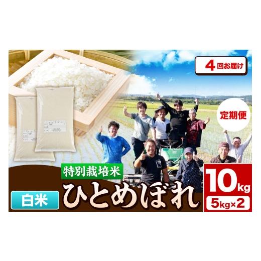 ふるさと納税 米 ひとめぼれ 秋田県 由利本荘市 《定期便4ヶ月》令和7年産 白米 特別栽培米 ひとめぼれ 10kg（5kg×2袋）秋田県産 ひとめぼれ 米 お米 白米 精…_1