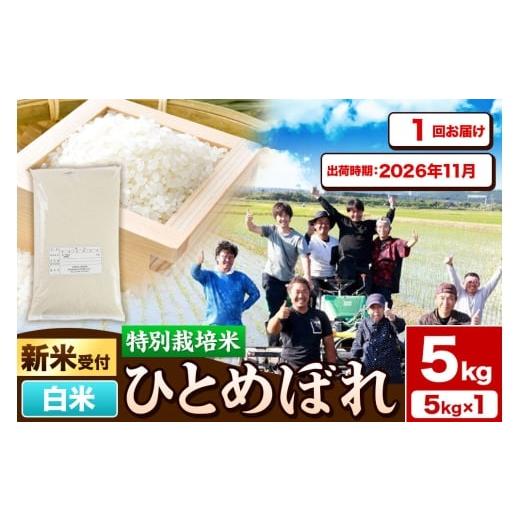 ふるさと納税 米 ひとめぼれ 秋田県 由利本荘市 [新米予約]令和8年産 白米 特別栽培米 ひとめぼれ 5kg 秋田県産 2026年11月出荷 ひとめぼれ 米 お米 白米 精…
