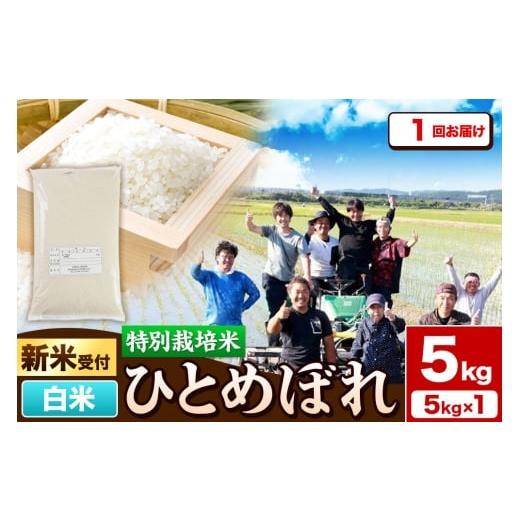 ふるさと納税 米 ひとめぼれ 秋田県 由利本荘市 [新米予約]令和8年産 白米 特別栽培米 ひとめぼれ 5kg 秋田県産 収穫次第2026年10月頃出荷予定 ひとめぼれ …